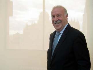 Vicente del Bosque