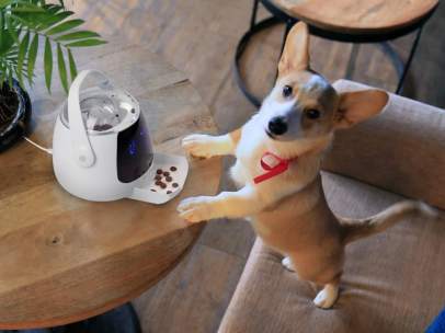 Pawbo Munch