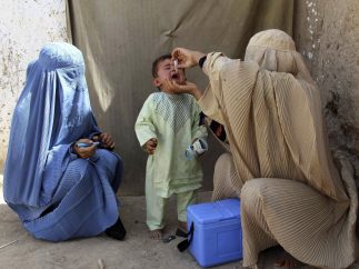 Campaña contra la polio en Afganistán
