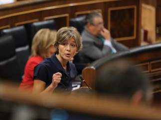 La ministra de Agricultura, Isabel García Tejerina, en el Congreso.