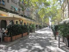 Detenidas 38 personas por hurto, drogas y robo con violencia en una redada en la Barceloneta