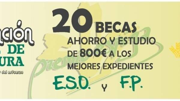 Becas Becas