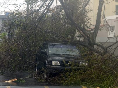 Coche cubierto por ramas