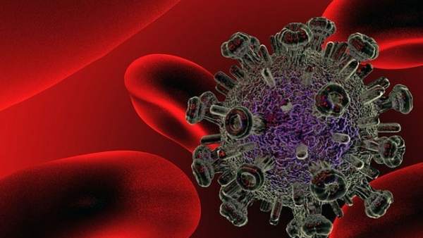 Virus del VIH Virus del VIH