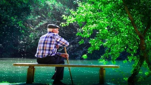Anciano, mayor, meditando, meditar, lago, banco, sentado Anciano, mayor, meditando, meditar, lago, banco, sentado