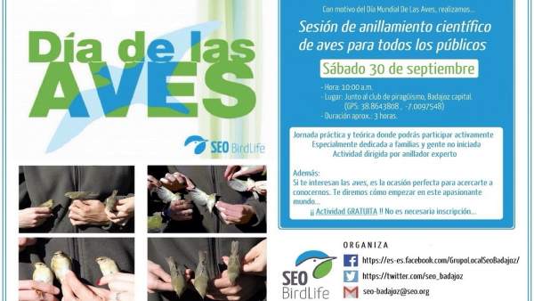 Cartel Cartel