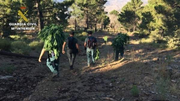 Operación para la detención de un francés fugado por supuesto asesinato Operación para la detención de un francés fugado por supuesto asesinato
