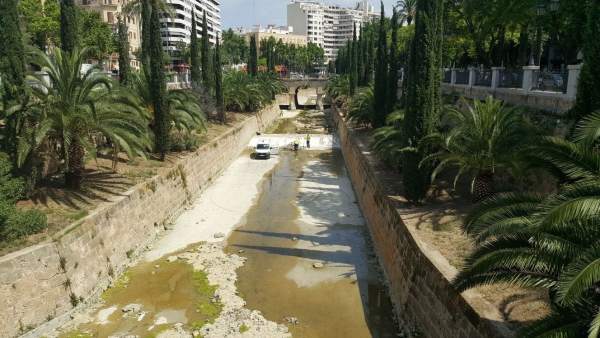 Limpieza del torrente de Sa Riera Limpieza del torrente de Sa Riera