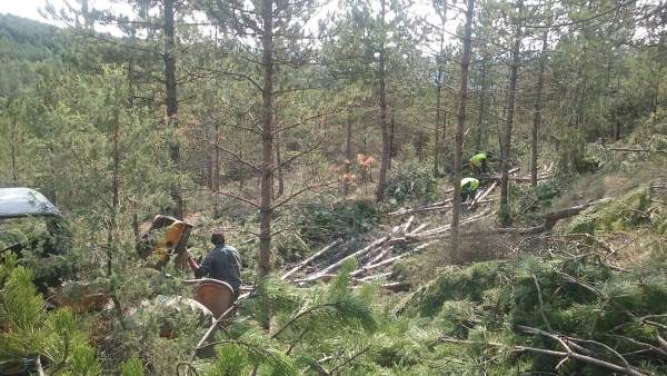 Trabajos de la CHE en Aínsa para prevenir incendios forestales Trabajos de la CHE en Aínsa para prevenir incendios forestales