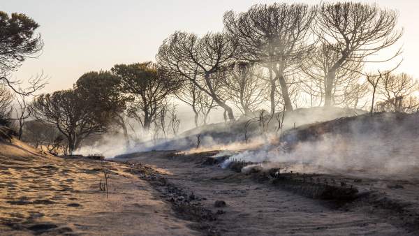 Cuesta Maneli calcinada tras el incendio junto a Doñana Cuesta Maneli calcinada tras el incendio junto a Doñana