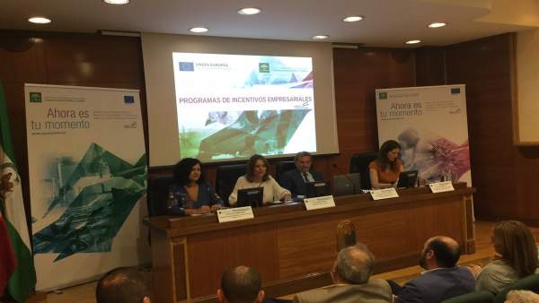 Jornada sobre las nuevas ayudas de IDEA. Jornada sobre las nuevas ayudas de IDEA.