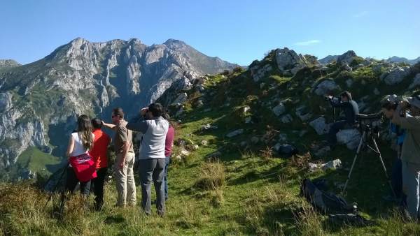 Visitas guiadas a Picos de Europa para conocer programa Quebrantahuesos Visitas guiadas a Picos de Europa para conocer programa Quebrantahuesos