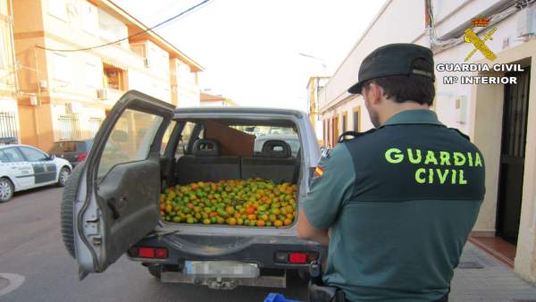 Remitiendo Np Opc Huelva 'La Guardia Civil Detiene A Tres Personas Y Recupera 50 Remitiendo Np Opc Huelva 'La Guardia Civil Detiene A Tres Personas Y Recupera 50