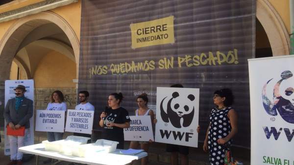WWF acción de calle en Mercado del Olivar WWF acción de calle en Mercado del Olivar