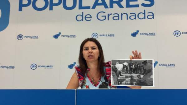 Ana Vanessa García exige la dimisión de Felipe López por el metro Ana Vanessa García exige la dimisión de Felipe López por el metro