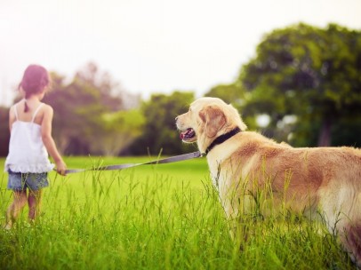 Niña paseando a su perro