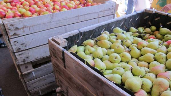 Fruta afectada por el veto ruso Fruta afectada por el veto ruso