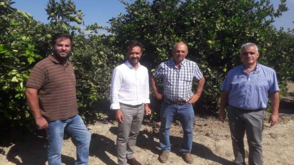 Visita a la cooperativa San Martín del Tesorillo Visita a la cooperativa San Martín del Tesorillo