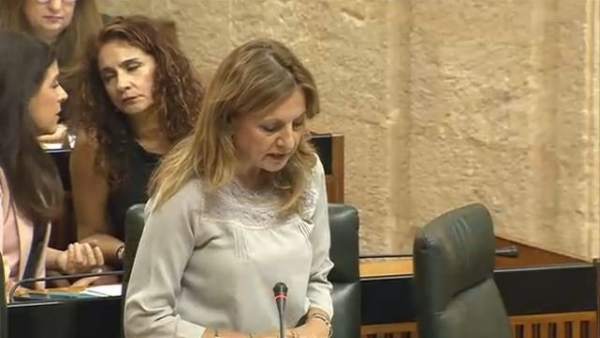 La consejera de Salud, Marina Álvarez, en el pleno del Parlamento andaluz La consejera de Salud, Marina Álvarez, en el pleno del Parlamento andaluz