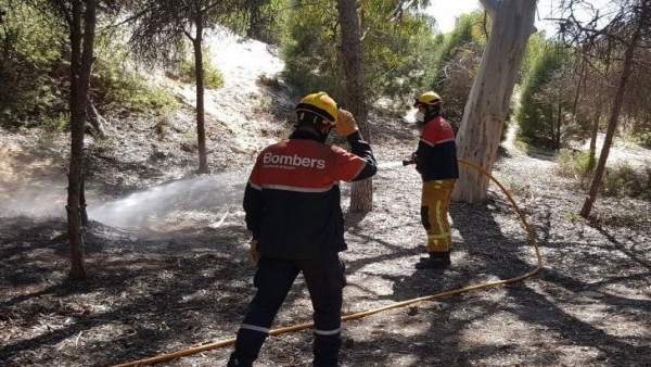 Incendio en la pinada de Guardamar Incendio en la pinada de Guardamar