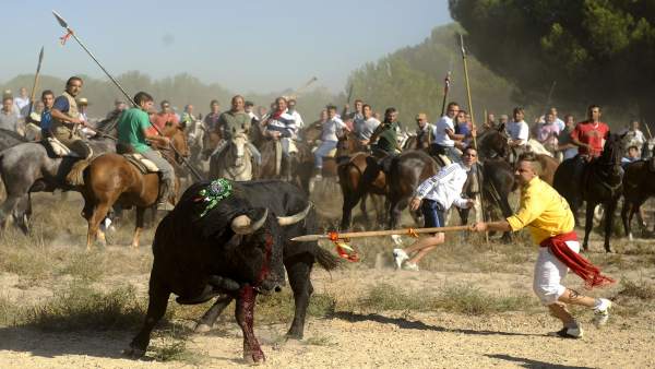 Joven clavando una lanza al toro, en la festividad de Tordesillas Joven clavando una lanza al toro, en la festividad de Tordesillas