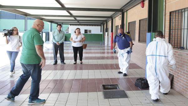 Desratización desinsectación desinfección centros escolares colegios marbella Desratización desinsectación desinfección centros escolares colegios marbella