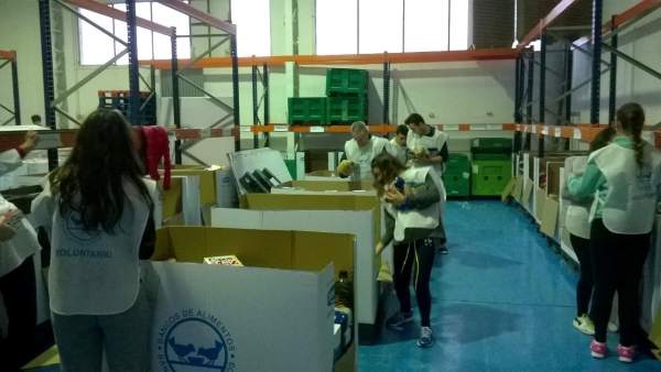 Voluntarios del Banco de Alimentos de Jaén clasifican productos donados. Voluntarios del Banco de Alimentos de Jaén clasifican productos donados.