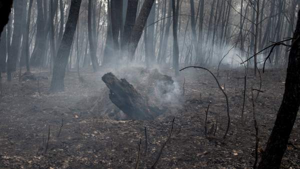 Incendios en Galicia Incendios en Galicia