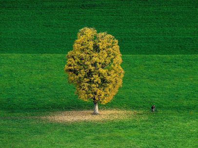 Verde otoñal en Suiza