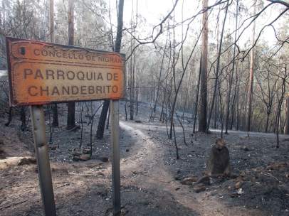 Incendios en Galicia