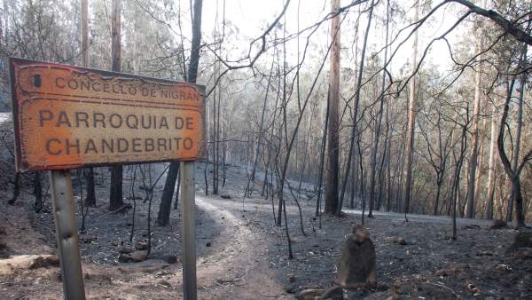 Incendios en Galicia Incendios en Galicia