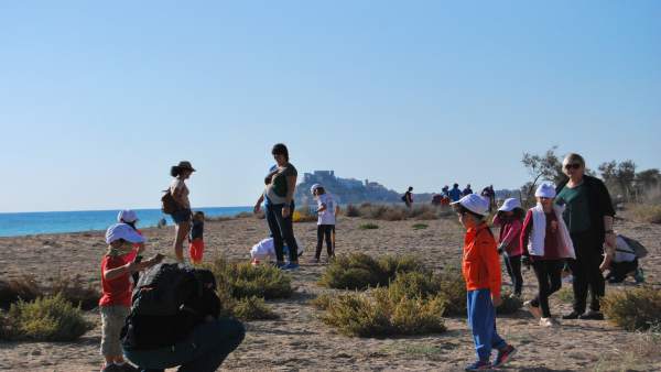 Actividad en la playa Actividad en la playa