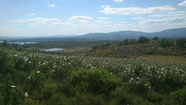 Paisaje de la comarca cacereña de Sierra de Gata (Cáceres) Paisaje de la comarca cacereña de Sierra de Gata (Cáceres)
