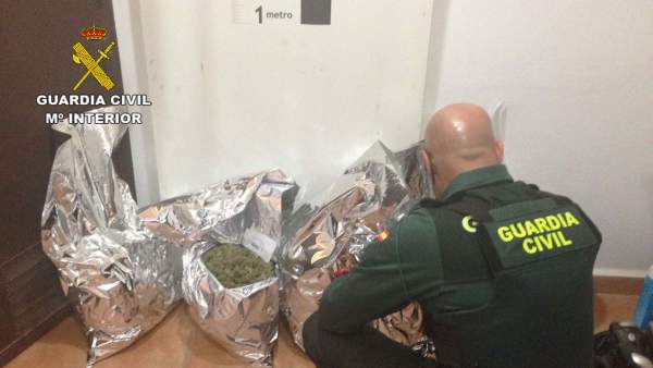 La Guardia Civil se incauta de marihuana La Guardia Civil se incauta de marihuana