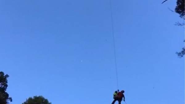 El helicóptero, durante el traslado El helicóptero, durante el traslado