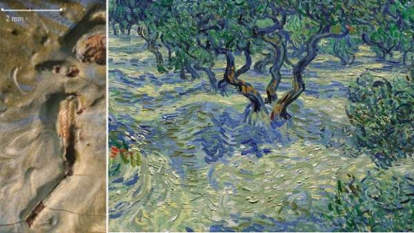 Saltamontes en una pintura de Van Gogh Saltamontes en una pintura de Van Gogh
