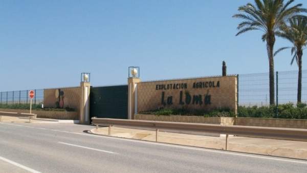 Finca La Loma en Murcia Finca La Loma en Murcia