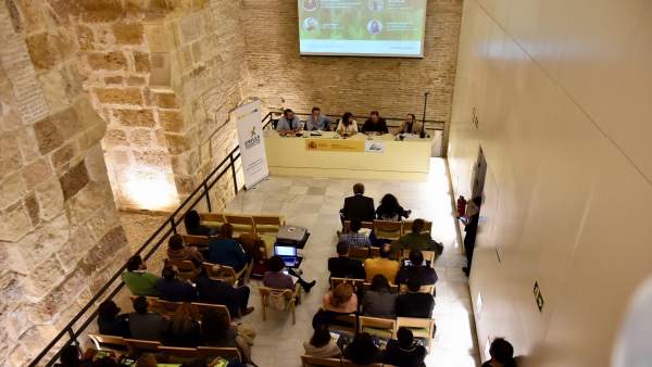 Greenweekend emprendeverde' de Fundación Biodiversidad en Sevilla Greenweekend emprendeverde' de Fundación Biodiversidad en Sevilla
