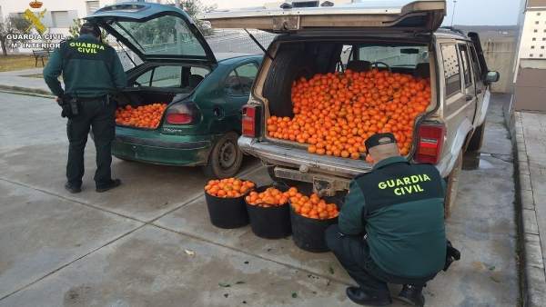 Remitiendo Np Opc Huelva 'La Guardia Civil Interviene 600 Kg. De Naranjas Y 200 Remitiendo Np Opc Huelva 'La Guardia Civil Interviene 600 Kg. De Naranjas Y 200