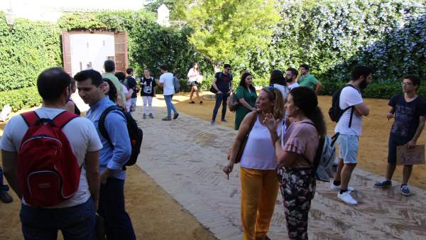 Cursos de verano de la Universidad Pablo de Olavide (UPO) en Carmona Cursos de verano de la Universidad Pablo de Olavide (UPO) en Carmona