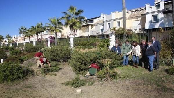Diputación trasplante dunas adelfa marbella senda litoral mejora protección espe Diputación trasplante dunas adelfa marbella senda litoral mejora protección espe