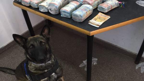 La unitat canina detecta en un autobús a Alacant una maleta amb 200.000€ i detenen l'amo per blanqueig La unitat canina detecta en un autobús a Alacant una maleta amb 200.000€ i detenen l'amo per blanqueig