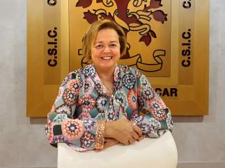Rosa Menéndez, nueva presidenta del CSIC
