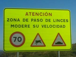 Cartel