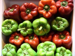 Pimientos
