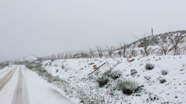 Nieve, nevada, frío Nieve, nevada, frío