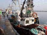 Barco pesquero