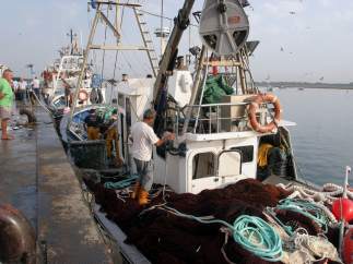Barco pesquero
