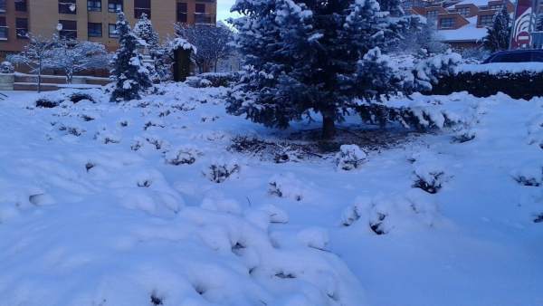 Nieve Nieve