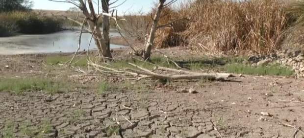 La solución a la sequía pasa por un nuevo Plan Hidrológico